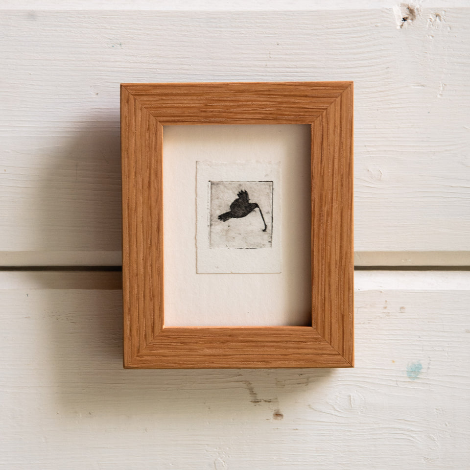 “A Hawk and a Snake” Tetra Pak Print