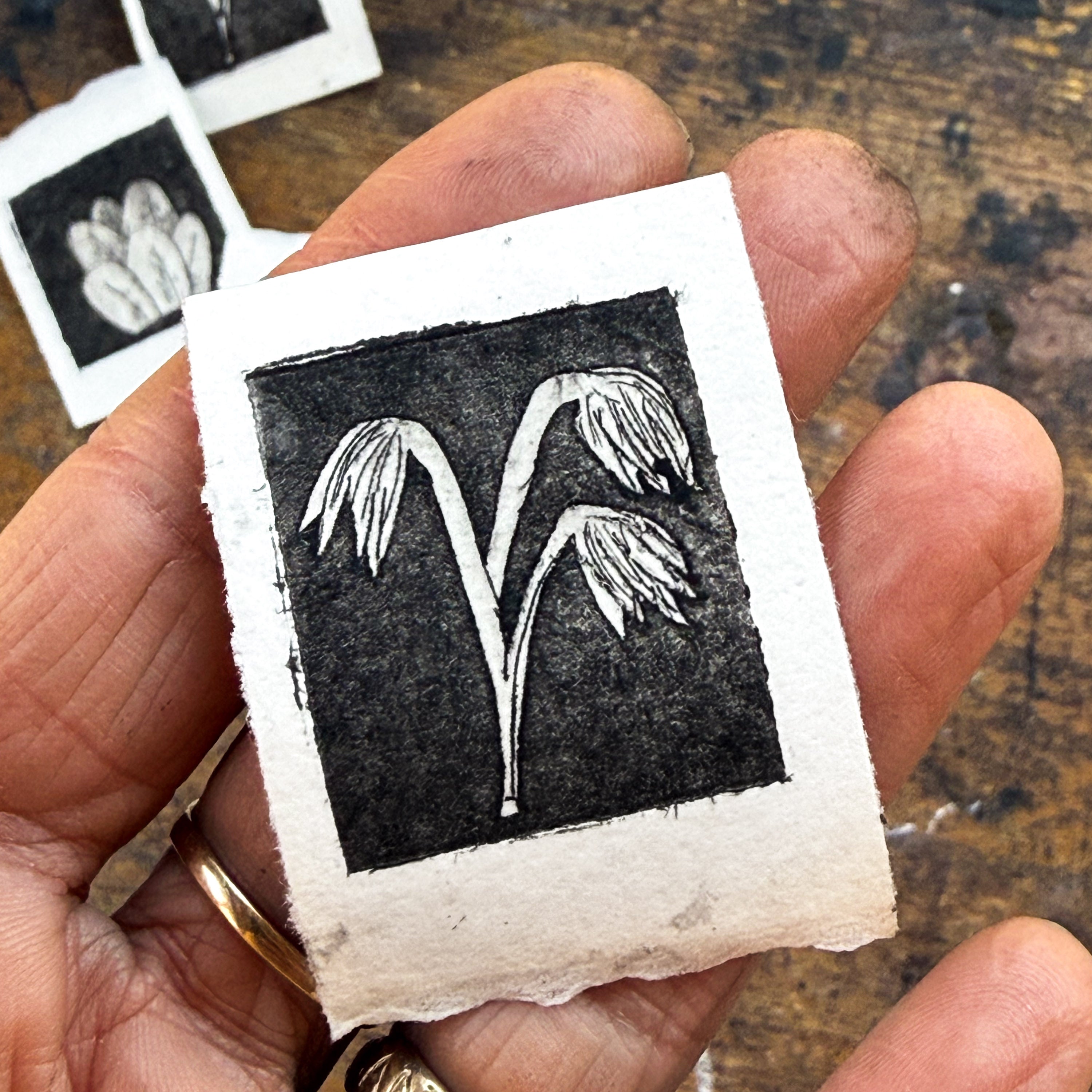“Blue Cohosh Emerging” Tetra Pak Print