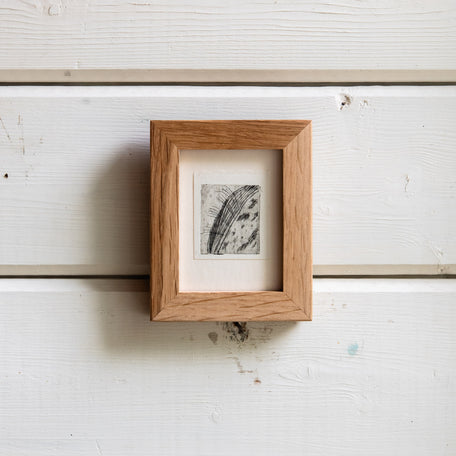 “Milkweed Seed Pod” Tetra Pak Print