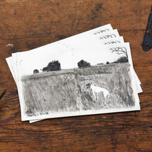 4 Postcards: Pearly’s World