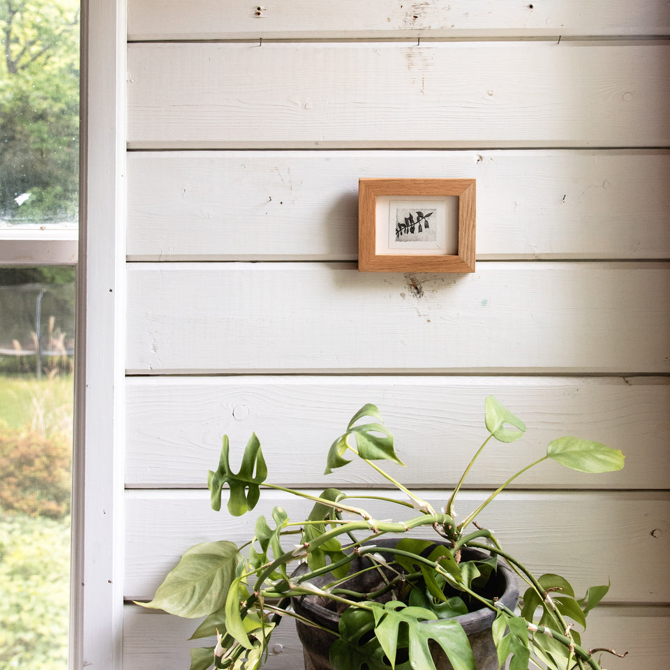 “Solomon’s Seal” Tetra Pak Print