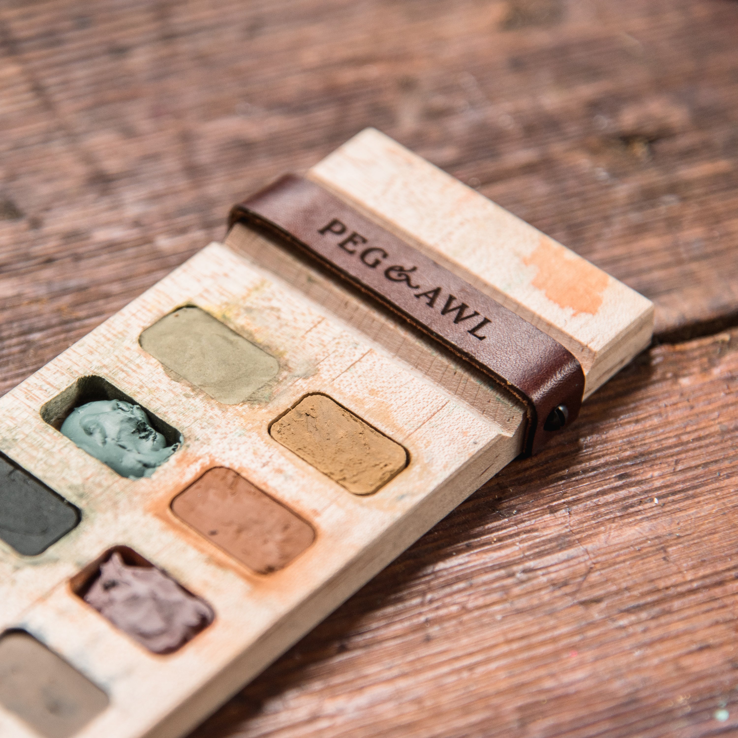Iris Painter’s Palette