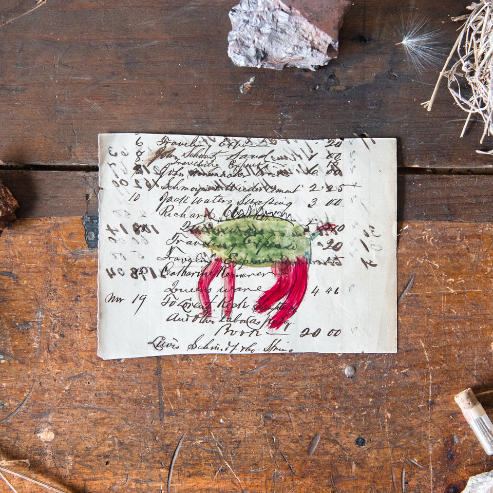 Foundlings Original Art: Primula