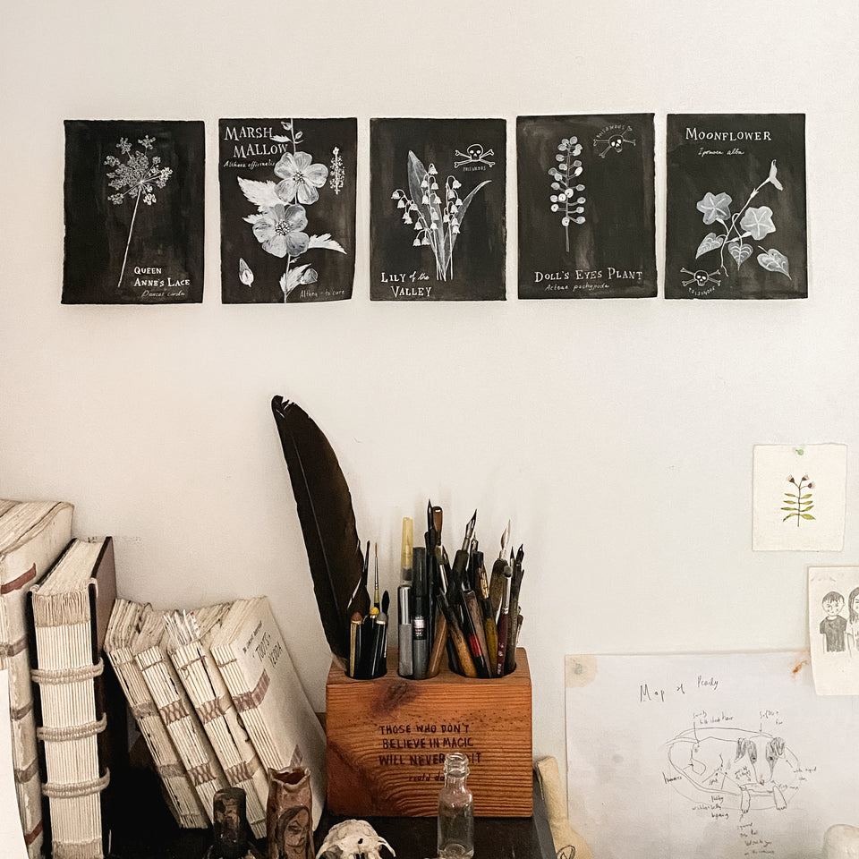 Botanical Art Print: Queen Anne’s Lace