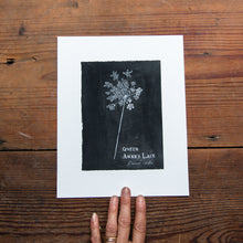 Botanical Art Print: Queen Anne’s Lace