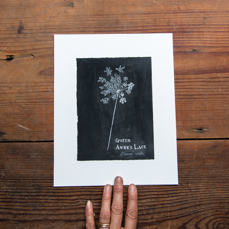 Botanical Art Print: Queen Anne’s Lace